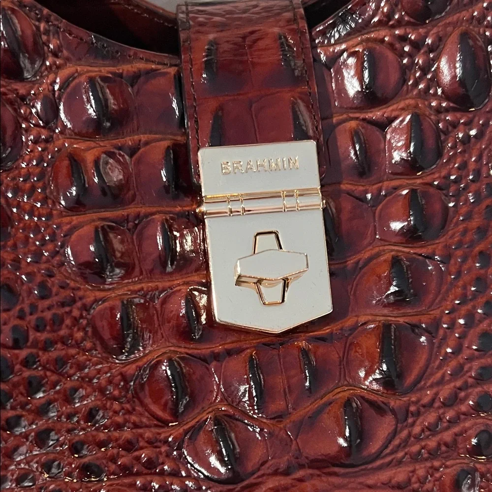 Brahmin Elisa in pecan Melbourne EUC - Picture 2 of 11